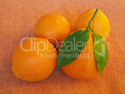 Orange fruit