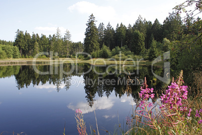 Marienteich, Oberharz