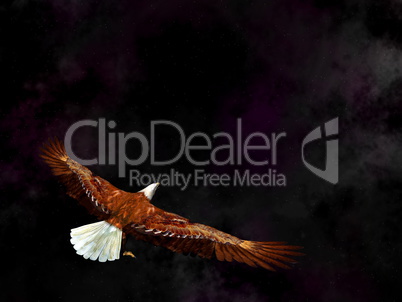 Eagle flying in the universe - 3D render