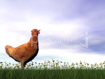 Red hen - 3D render