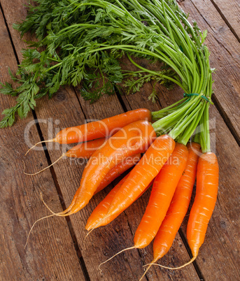Bunch of fresh organic carrots.