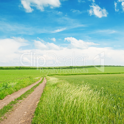 wheat field,country road and blue sky