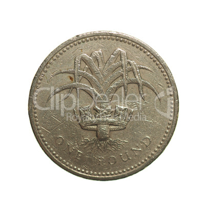 One Pound coin