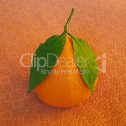 Orange fruit