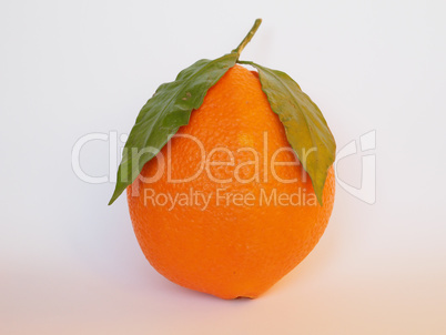 Orange fruit