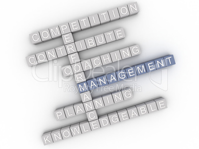 3d image Management  issues concept word cloud background