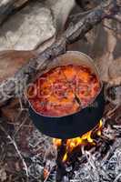 Cooking borscht (Ukrainian soup) on campfire
