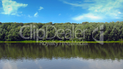 beautiful summer landscape with river and trees