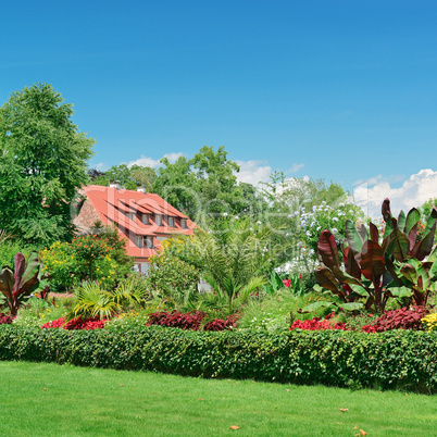 picturesque lawn in the park