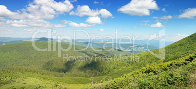 mountains covered trees