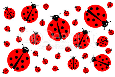 Many Ladybugs