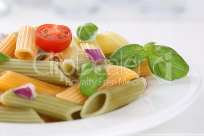 Bunte Penne Rigate Nudeln Pasta Gericht mit Tomaten