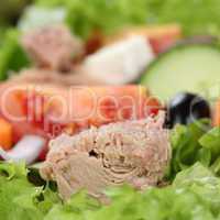 Salat mit Thunfisch, Tomaten, Oliven und Textfreiraum