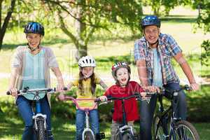 Happy family on their bike at the park