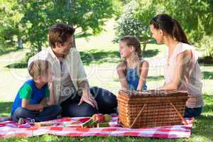 Happy family on a picnic in the park