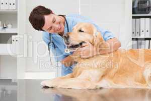 Smiling veterinarian examining a cute dog