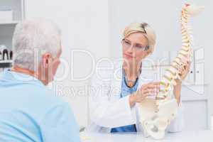 Doctor explaning anatomical spine to male patient