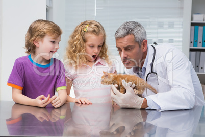Veterinarian examining a cute cat with its owners