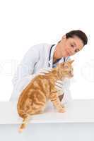 Veterinarian examining a cat