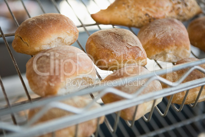 Freshly baked rolls on rack