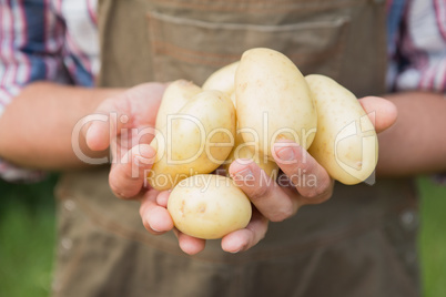 Farmer selling organic veg at market