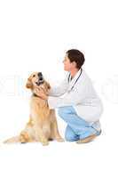 Veterinarian crouching with a dog