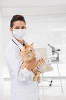 Veterinarian with a cat in her arms