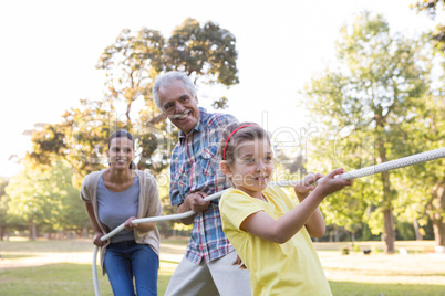 Extended family having tug of war