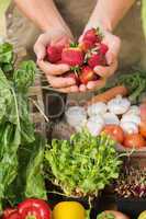 Farmer showing his organic strawberries