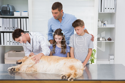 Smiling vet examining a dog with its scared owners