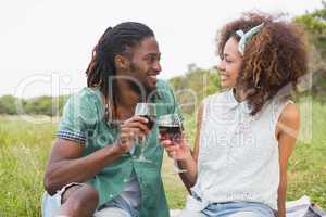 Young couple on a picnic drinking wine