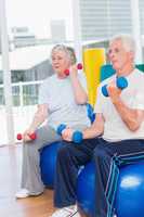 Senior couple lifting dumbbells on exercise ball