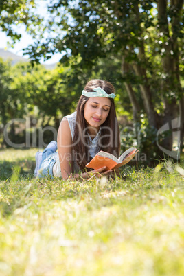 Pretty brunette reading book in the park