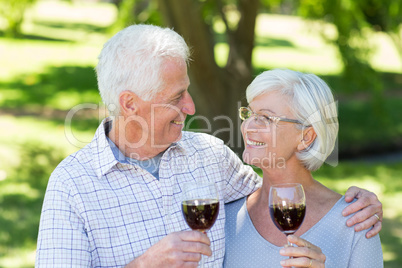 Happy senior couple drinking at the park