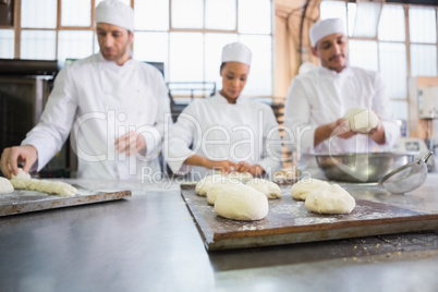 Serious colleagues kneading uncooked dough