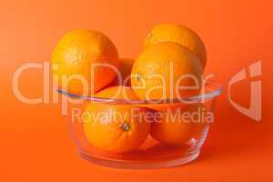 Limes_oranges_lemon_stock_pictures