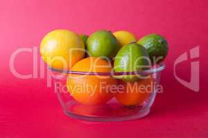 Limes_oranges_lemon_stock_pictures