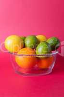 Limes_oranges_lemon_stock_pictures