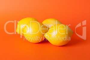 Limes_oranges_lemon_stock_pictures