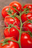 fresh cherry tomatoes on a cluster