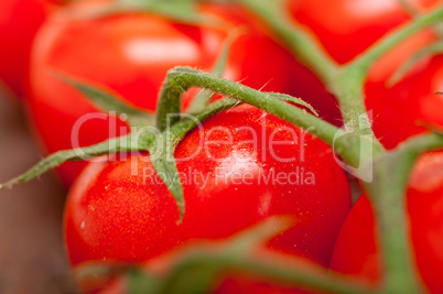 fresh cherry tomatoes on a cluster