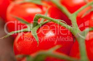 fresh cherry tomatoes on a cluster