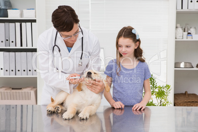 Smiling vet examining a dog with its owner