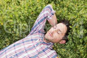 Handsome man relaxing in field