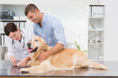 Vet using nail clipper on a dog with its owner