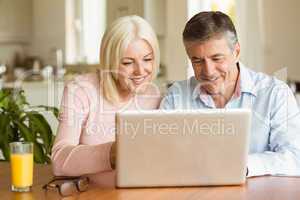 Happy mature couple using laptop