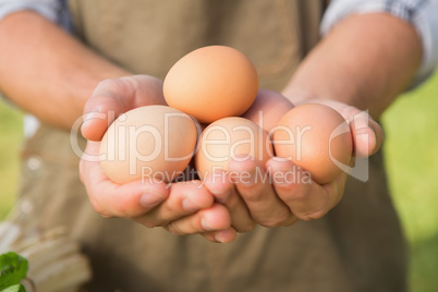 Farmer showing his organic eggs