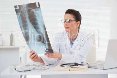 Doctor looking at scans