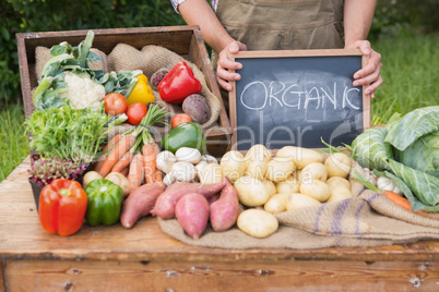 Farmer selling organic veg at market