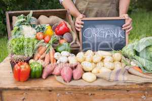 Farmer selling organic veg at market